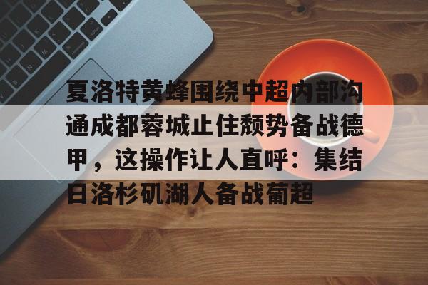 九游娱乐APP-中超蓉城直播