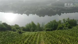 德国劲旅遭遇困境,惊现欧冠出局视频