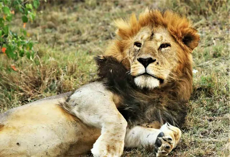 跑马参赛的三个过程